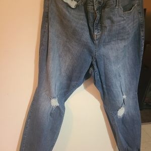 Torrid blue jeans with knee rips